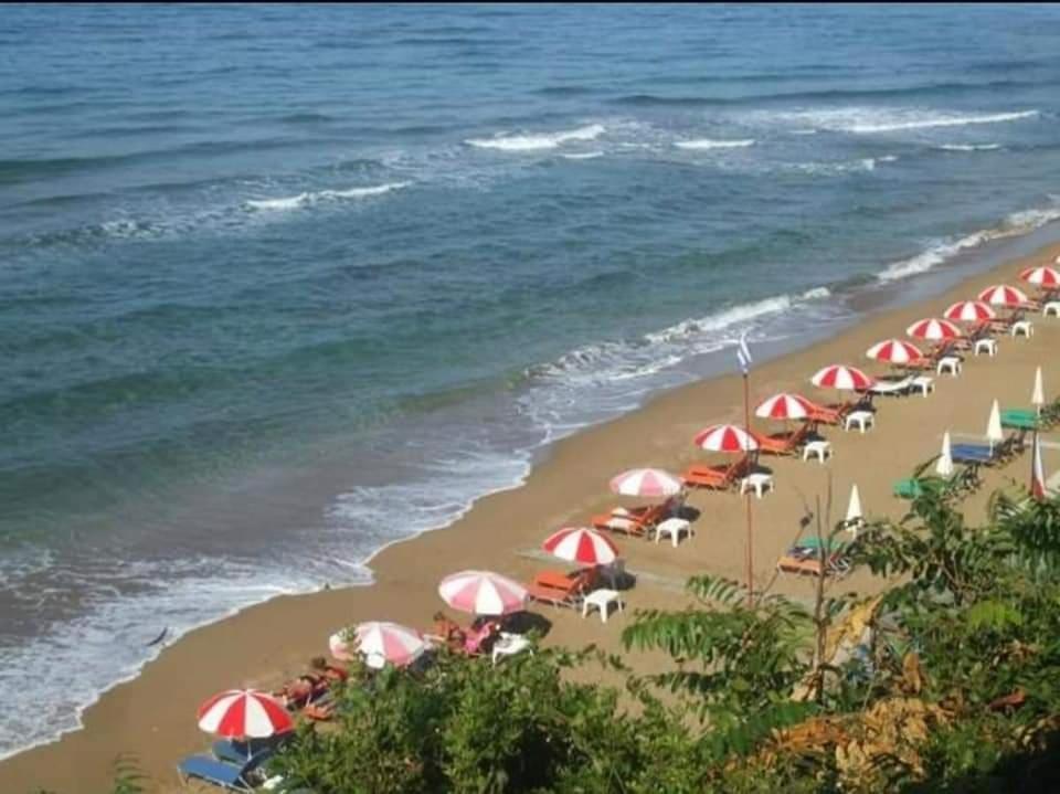 Harmony Corfu Apartments & Studios Luaran gambar