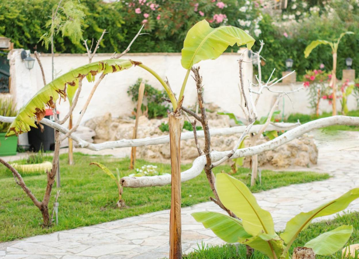 Harmony Corfu Apartments & Studios Luaran gambar